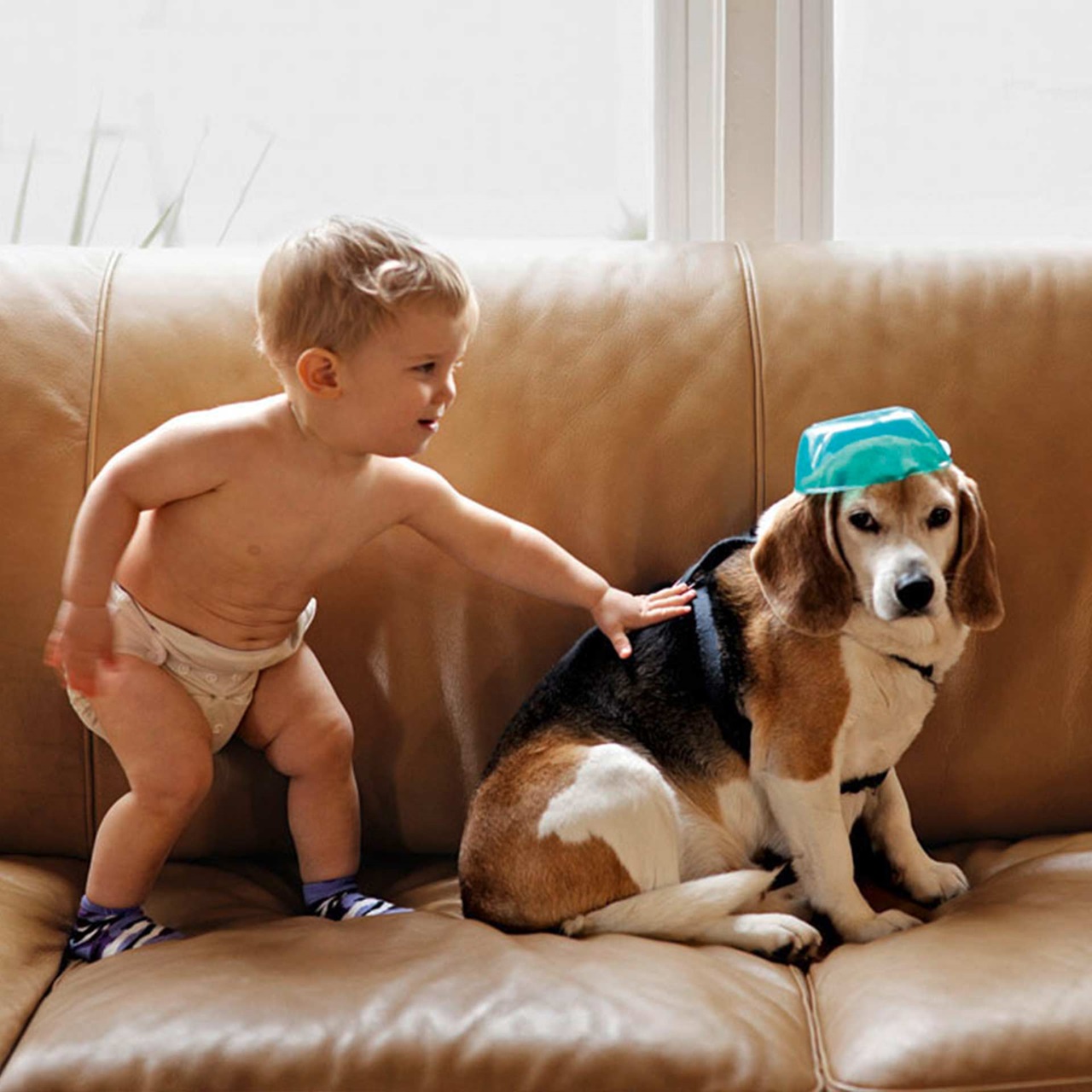 Kleinkind in Windeln streichelt einen Hund mit Napf auf dem Kopf auf dem Sofa