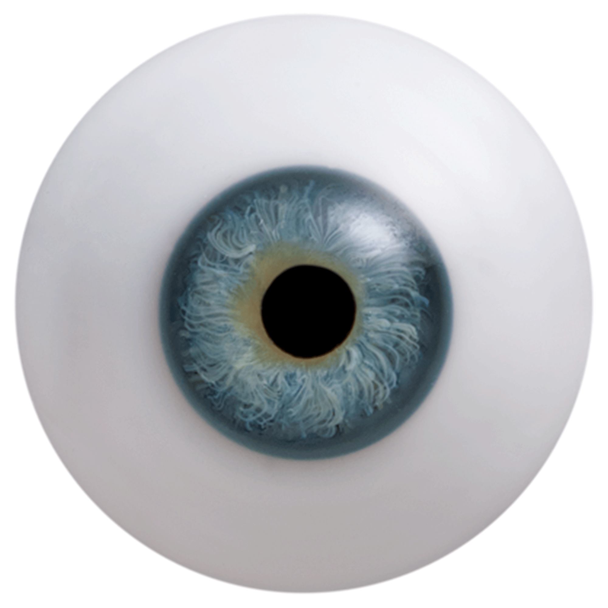 Auge, Augapfel, blaue Iris