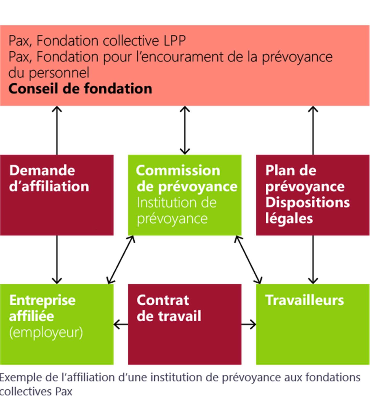 Organigramme
