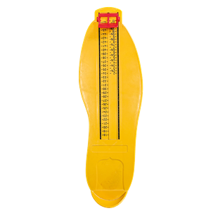 Schuhspanner, Schuhbaum