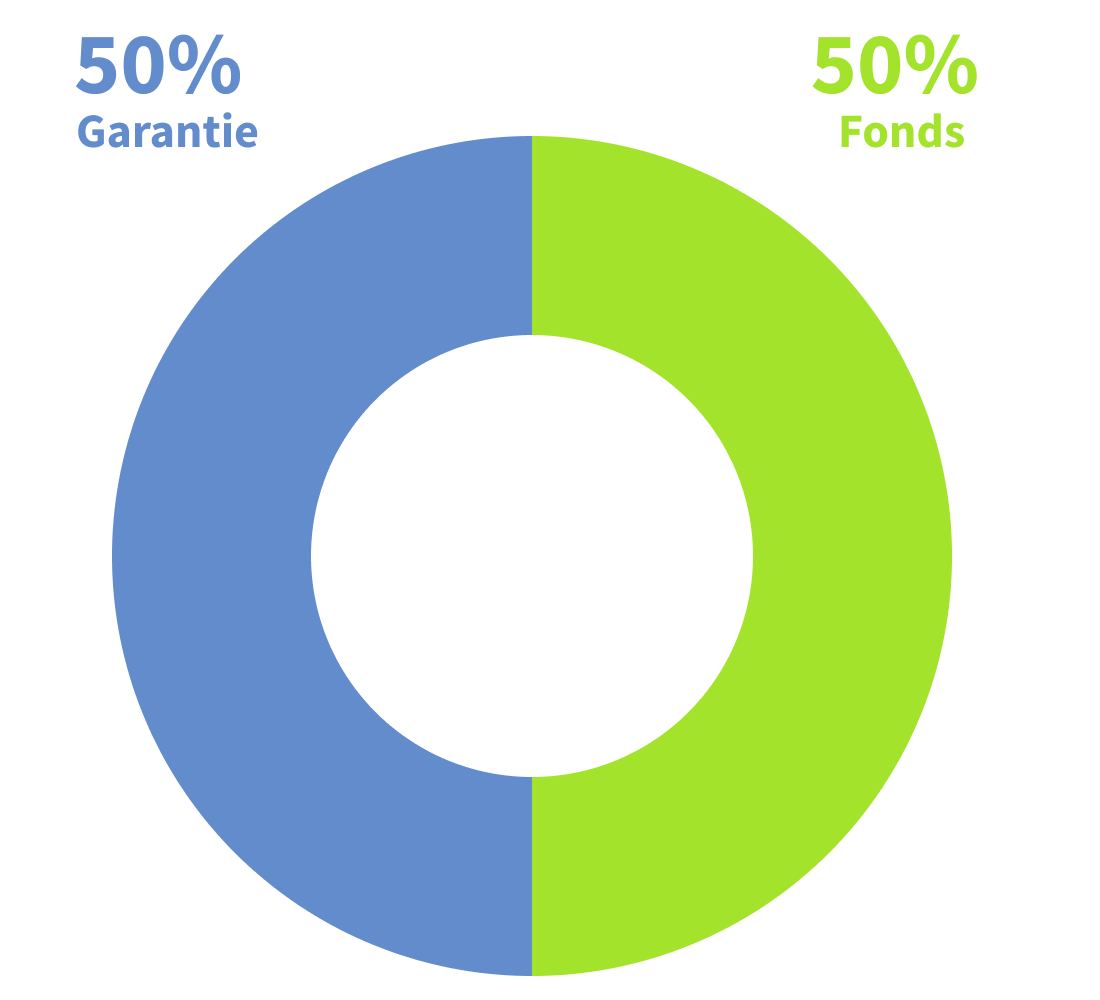 Grafik zur ausgewogenen Anlagestrategie bei Pax 3a: 50 % des Kapitals in garantierte Anlagen, 50 % in nachhaltige Fonds investiert. Geeignet für mittleres Risiko und Renditechance.