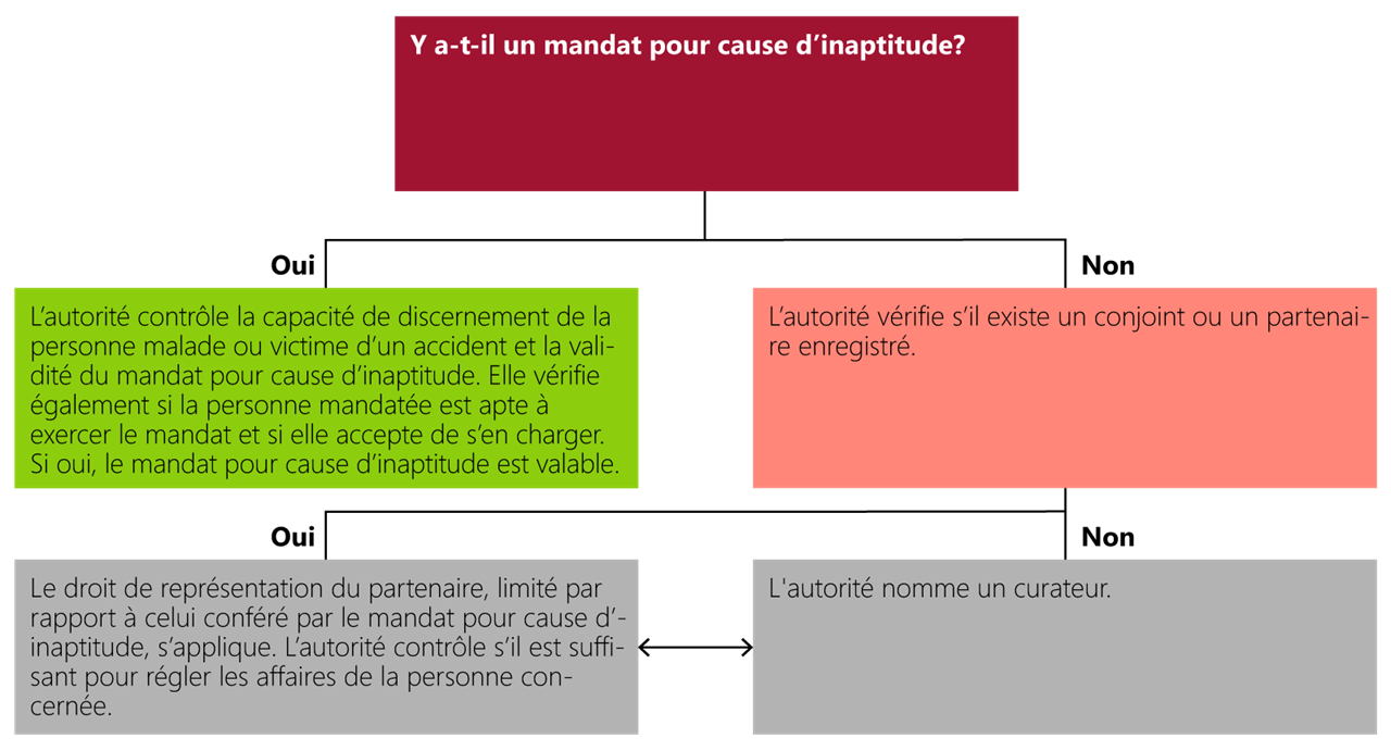 Organigramme