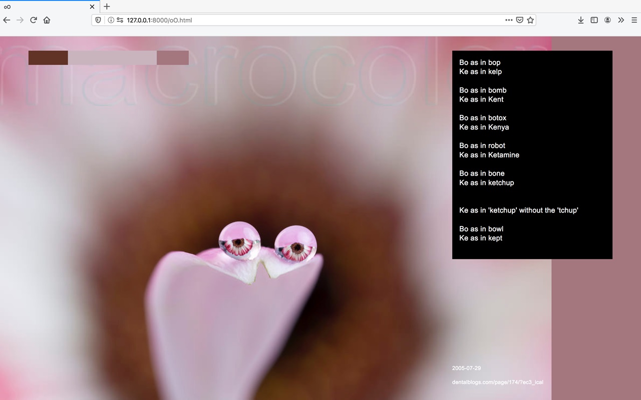 Opera di Stefan Karrer: browser still / screenshot